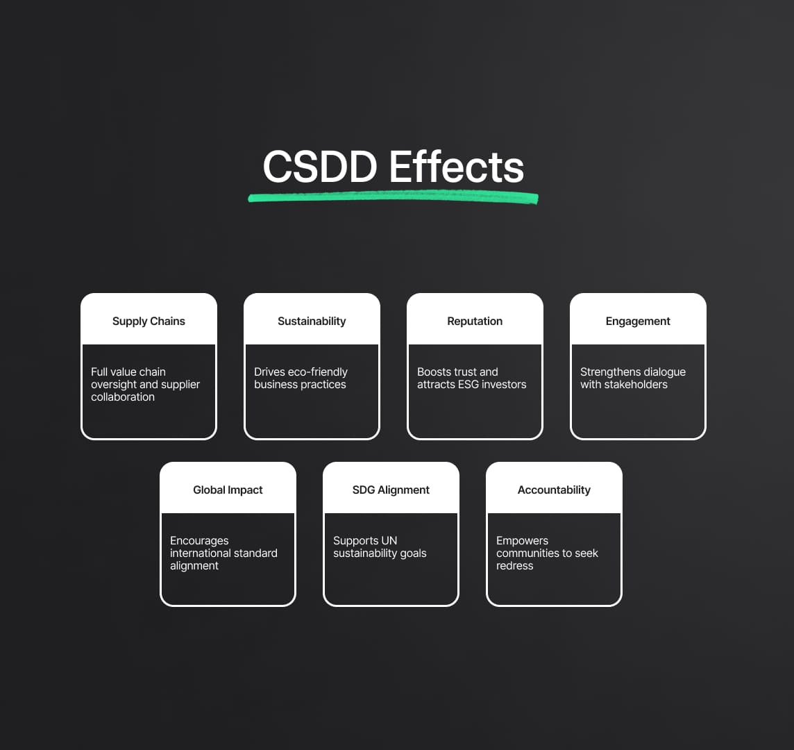 CSDD Effects
