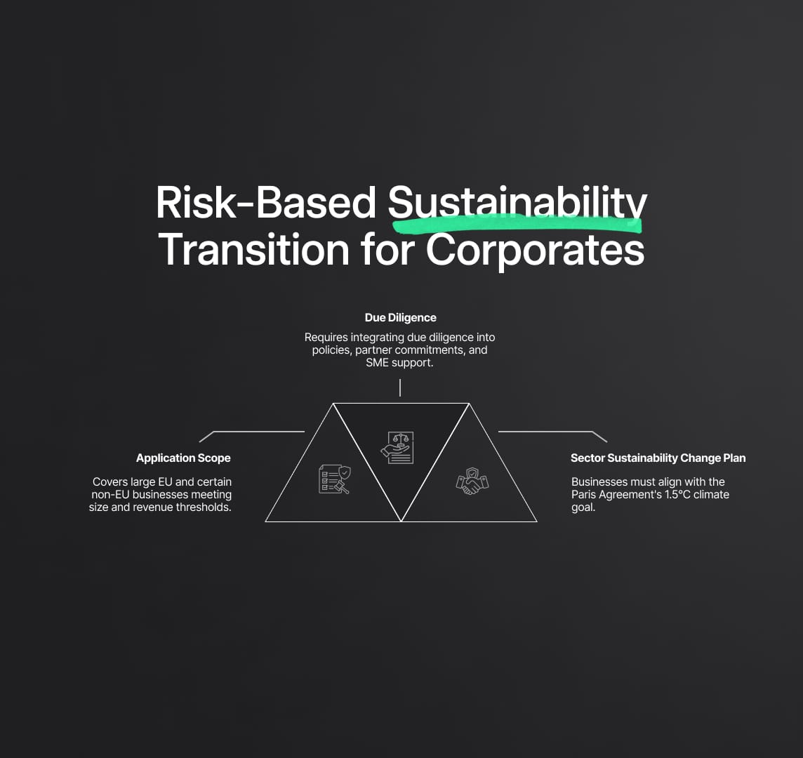 Embracing Change: Risk-Based Approach and Transition Plan for Corporate Sustainability