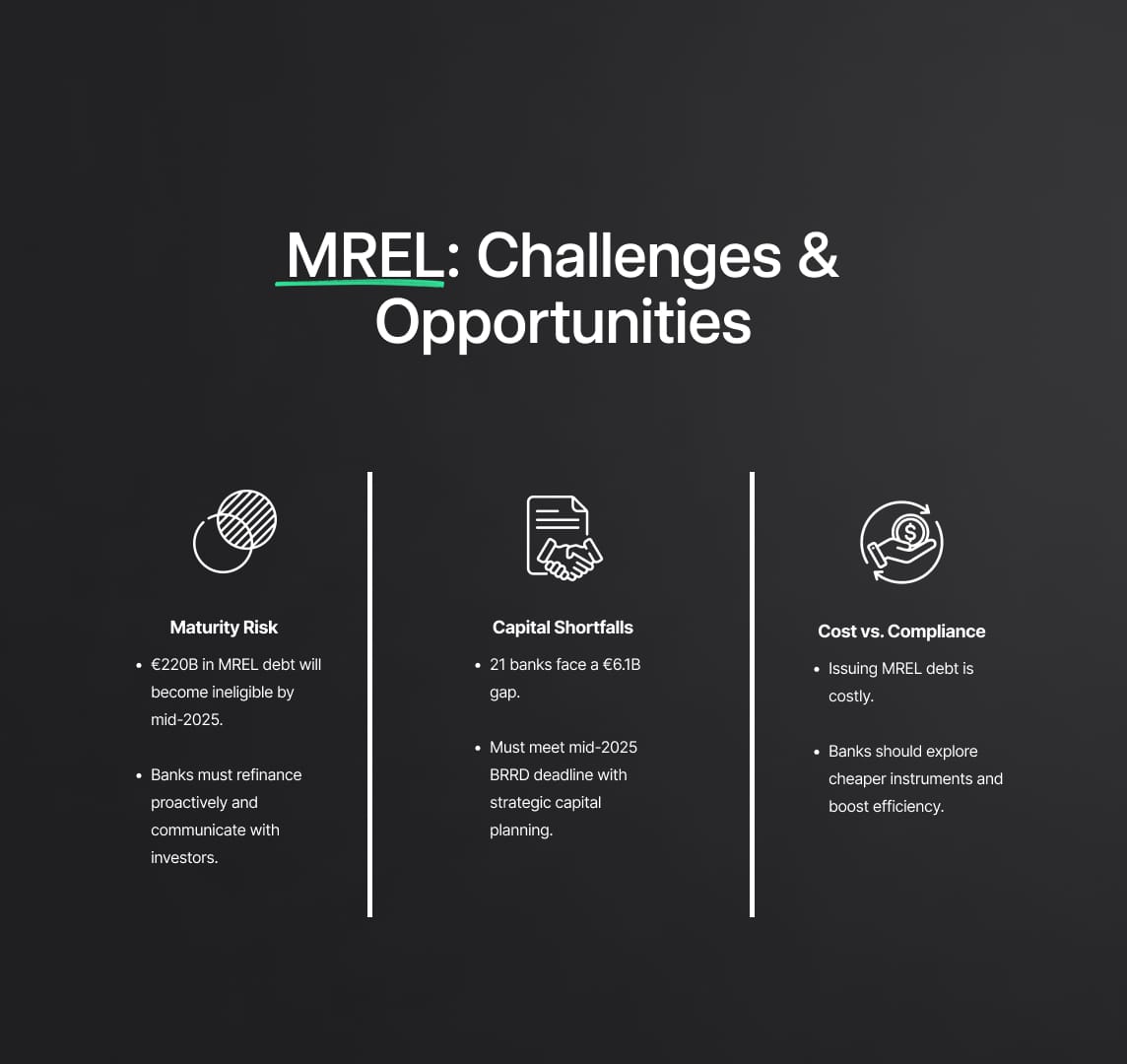 Minimum Requirement for Own Funds and Eligible Liabilities (MREL): Challenges and Opportunities
